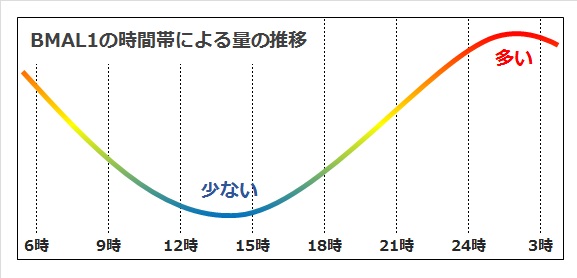 BMAIL1推移